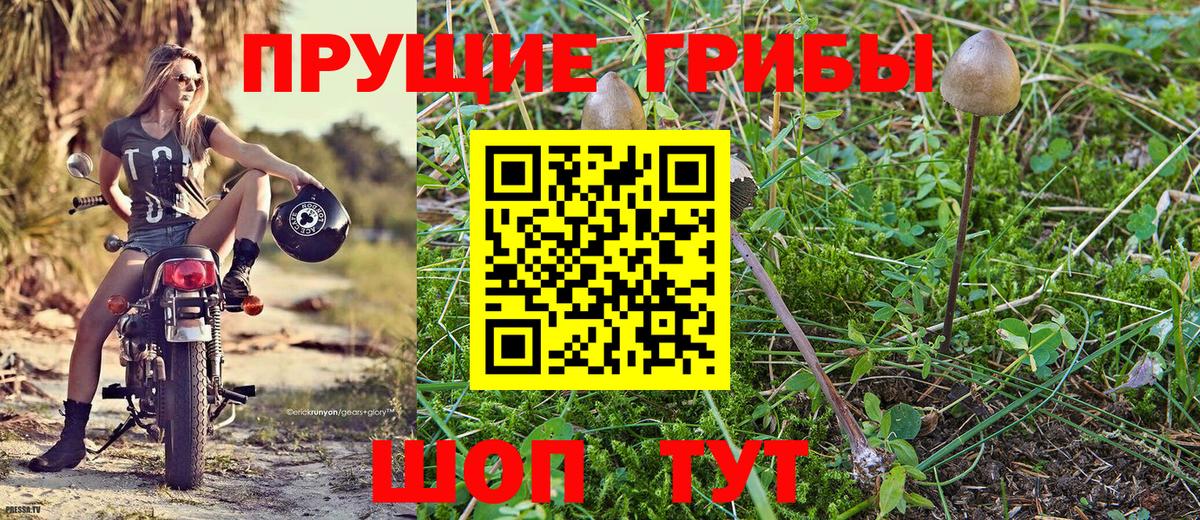 Хабаровск  Псилоцибиновые грибы мицелий  Вход с VPN 